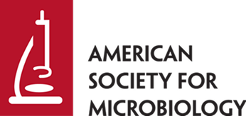 asm logo 76ea13ce5cec9e3d897b76c6abe4779f 1 (1)